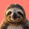 ApplyChill Logo