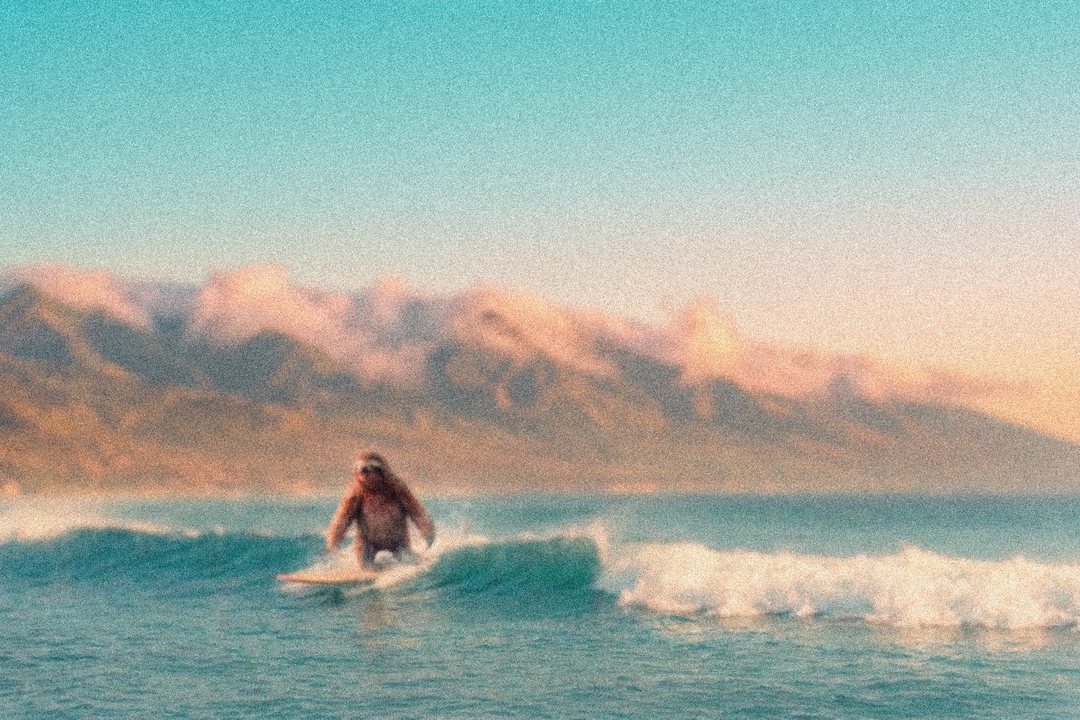 ApplyChill surfing sloth